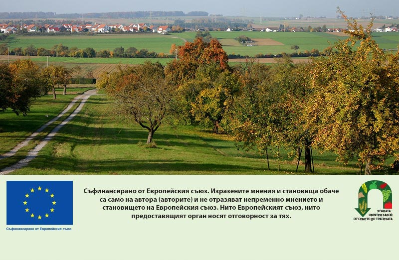 Ясни са субсидиите за Кампания 2025: До 168.93 евро на хектар по две екосхеми