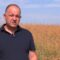 Агротема: Картината на полето в Пловдивско