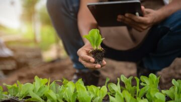 Geneticists, biologists, and scientists are studying the genetic structure of vegetables in a greenhouse.