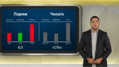 borsa-agrotv-190620206