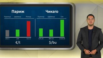 borsova-info-30-06-2026