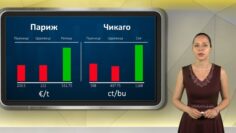 borsova-informacia-030626