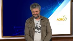 DIVOTO_ZOVE