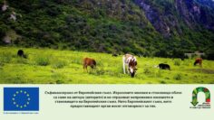 humanno-otnoshenie-AgroTV