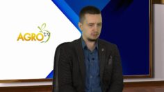 NADCENKI_NA_HRANI