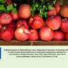 promeni-biofarming-AgroTV