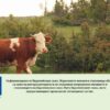 promeni-obvarzano-jivotni-AgroTV