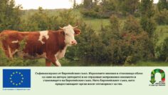 promeni-obvarzano-jivotni-AgroTV