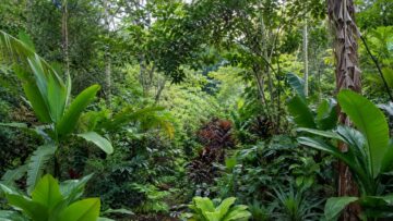 sinoptrichno zemedelie agro