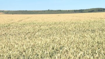 zhatva agronovini agrotv