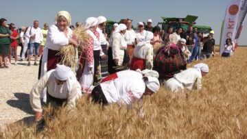 zhatva montansko