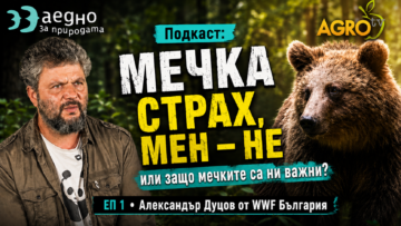 Mechka strah men ne ili zashto mechkite sa ni vazhni