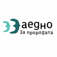 Channel Logo