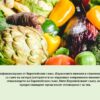 Variety of fresh vegetables to protect against cancer.