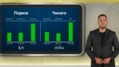 borsa-15-07-2026