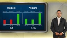 borsa020726