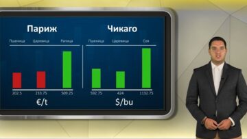 borsa020726