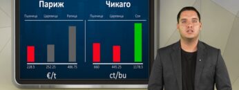 borsa31-07-2026