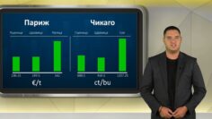borsova-info-16-07-2026