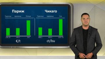 borsova-info-16-07-2026