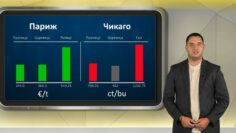 borsova-info-23-07-2026