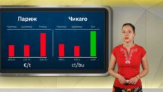 borsova-informaciq09072026