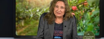 cherna-zlatka-ovoshtna-gradina-rastitelna-zashtita-agro-tv