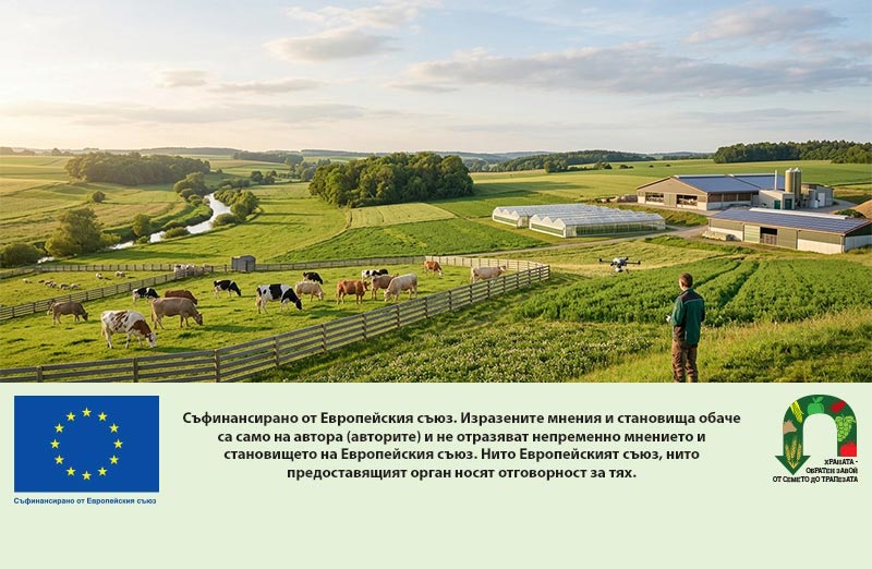 Европейската комисия поставя основите на по-конкурентно животновъдство и сигурни протеинови доставки