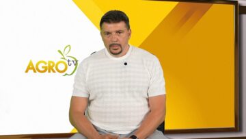 STRATEGICHESKI_PLAN