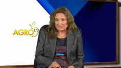 CHERNA_ZLATKA