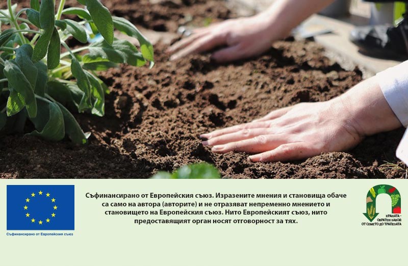 Над 11 милиона евро са осигурени за застраховане на селскостопанска продукция