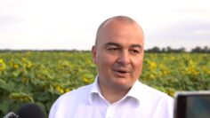 abrovski-pozemleni-otnoshenia