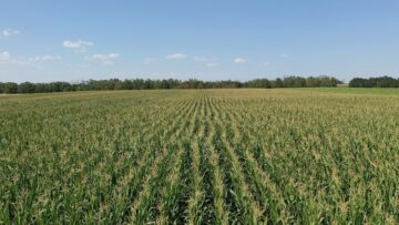 agroforum-konservatsionno-zemedelie-zelenchukoproizvodstvo-cherna-zlatka