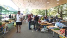 blagoevgrad-pazar-agrotv