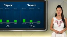 borsa-07-08-2026