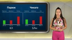 borsa-21-08-2026