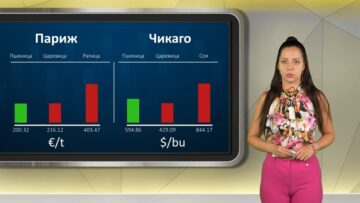 borsa-21-08-2026