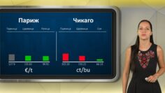 borsova-informacia13-08-2026
