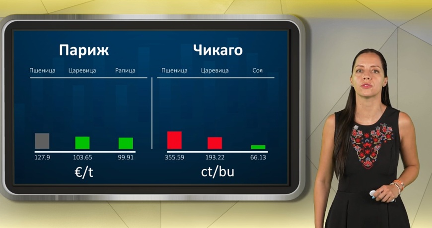 Борсовата информация по АГРО ТВ на 13 август