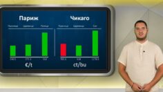 borsova-informaciq-31-08-2026