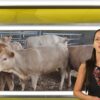 centralna-emisia-13-08-2026