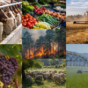 centralna-emisia-agro-tv-antraks-velingrad-biozemedelie