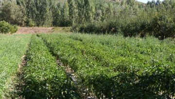 centralna-emisia-agro-tv-ovoshtari-zhivotnovadstvo-zarno