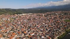 centralna-emisia-agro-tv-pomosht-svinevadstvo-zelenchukoproizvodstvo