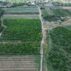 centralna-emisiya-agro-tv-iranska-pomosht-izkupni-tseni-zhivotnovadstvo