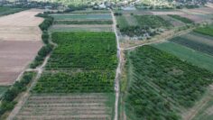 centralna-emisiya-agro-tv-iranska-pomosht-izkupni-tseni-zhivotnovadstvo