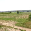 centralna-emisiya-agro-tv-sharka-tyutyun-krizisna-pomosht