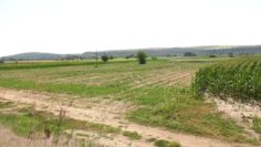 centralna-emisiya-agro-tv-sharka-tyutyun-krizisna-pomosht