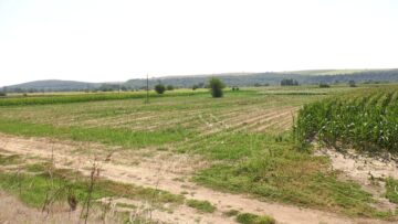 centralna-emisiya-agro-tv-sharka-tyutyun-krizisna-pomosht