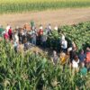 hibridi-agrotehnika-lidea-kws-kubota-iri-trade
